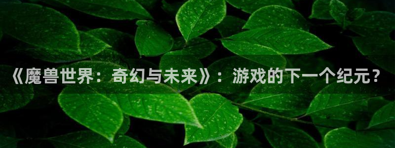 28.28大神：《魔獸世界：奇幻與未來》：游戲的下一個(gè)紀(jì)元？